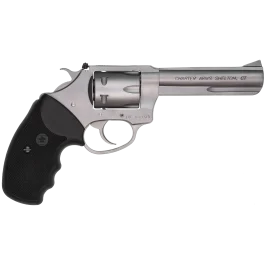 Charter Arms Pathfinder 4.2 Inch Stainless Steel Adjustable .22 WMR Revolver