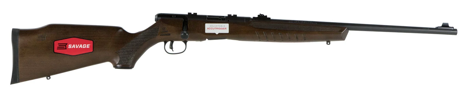 Savage B22 G Bolt-Action Rifle .22 LR 21 in. Walnut