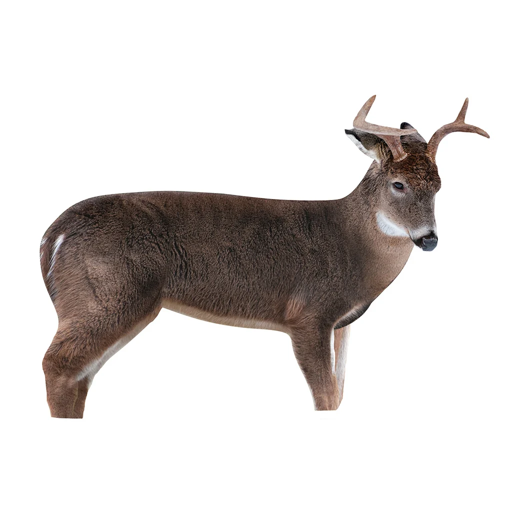 Montana Decoy The Freshman Buck Decoy — Foldable Buck